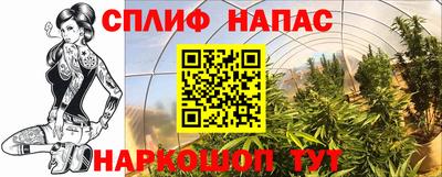 ешки Славянск-на-Кубани