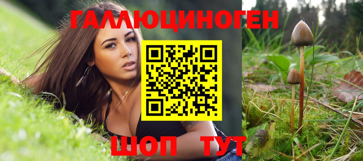 Псилоцибиновые грибы Magic Shrooms Новочебоксарск