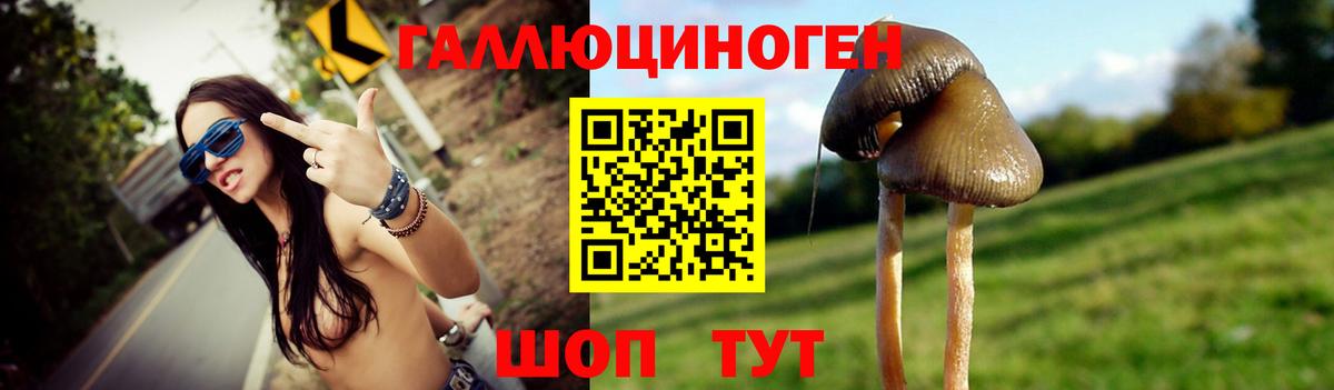 Галлюциногенные грибы ЛСД  Вход с VPN  Новочебоксарск 